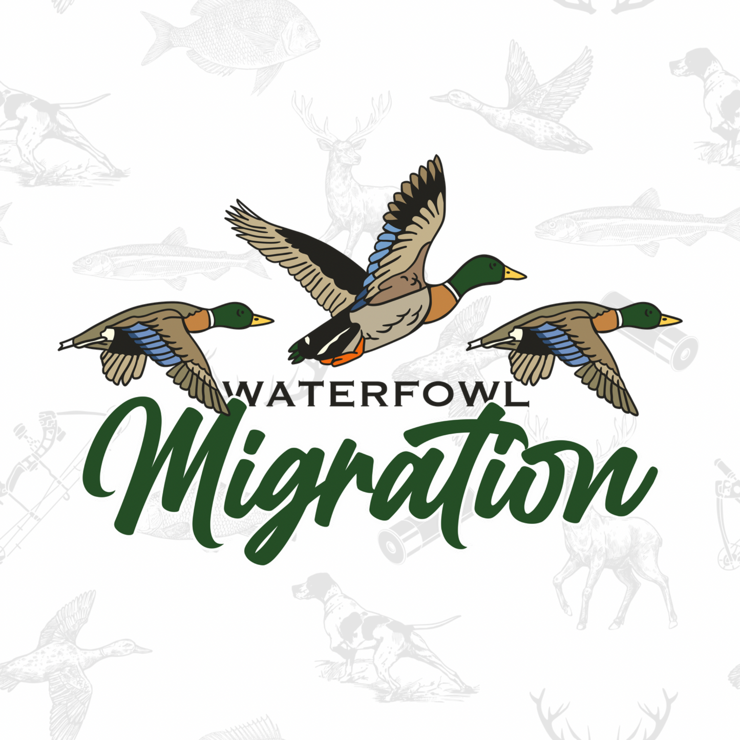 Duck Migration PNG