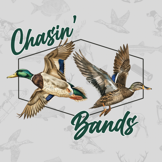 Chasin Bands PNG