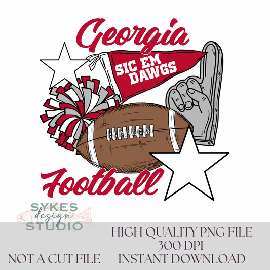 Georgia Flags & Poms